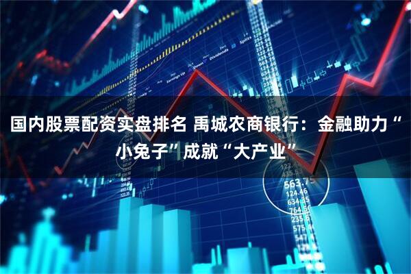 国内股票配资实盘排名 禹城农商银行：金融助力“小兔子”成就“大产业”